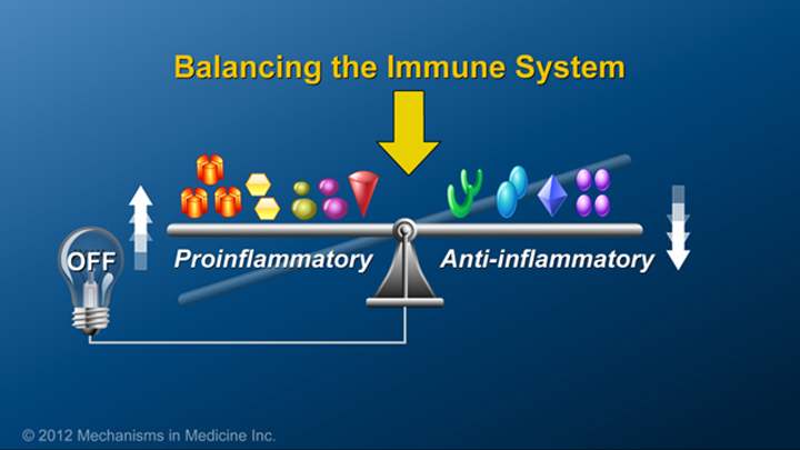 Balancing Immune System and IBD