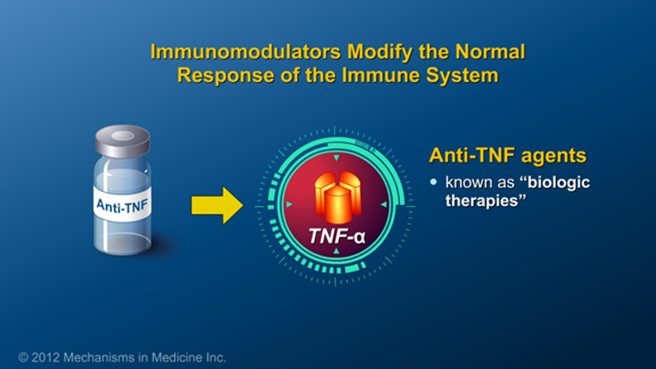 Immunomodulators and IBD