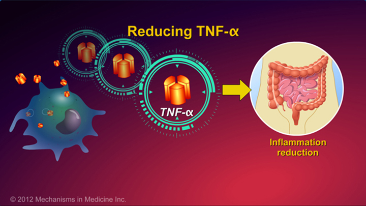Reducing TNF-alpha and IBD