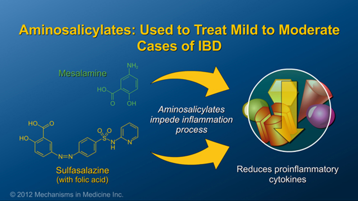 IBD and Aminosalicylates