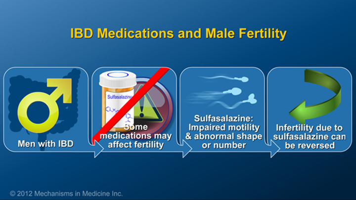 Male Fertility and IBD