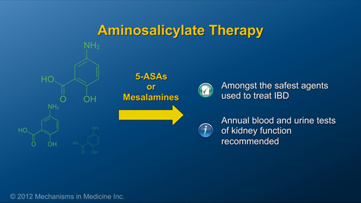Aminosalicylates IBD Therapy