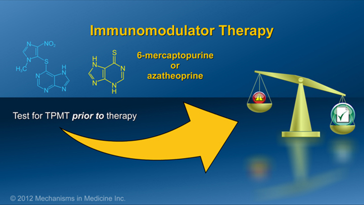 Immunomodulators for IBD