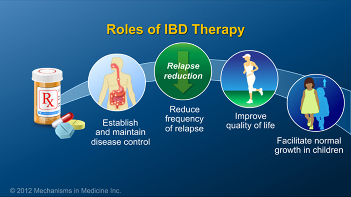 Roles of IBD Therapy IBD