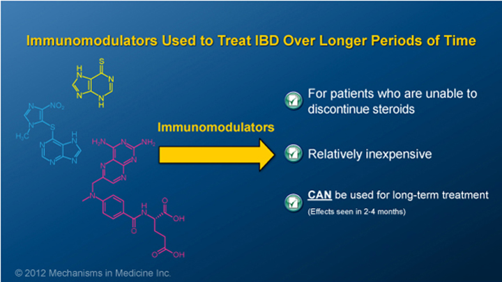 IBD Immunomodulators