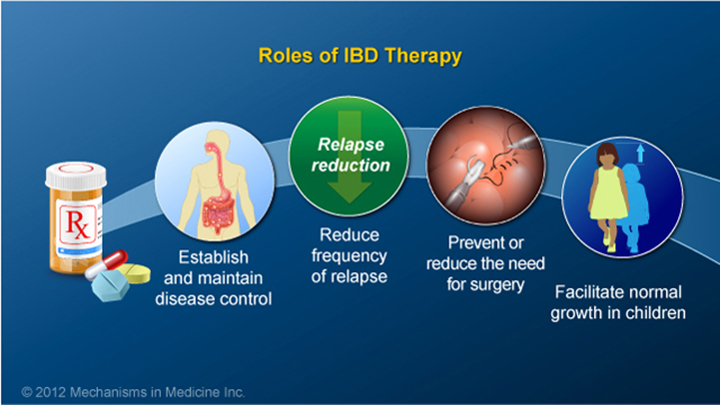 Roles of IBD Therapy